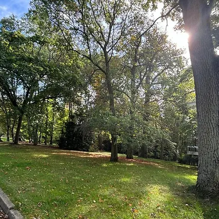Ecrin De Verdure Au Chesnay Et Parking Gratuit Апартаменты Ле-Шене